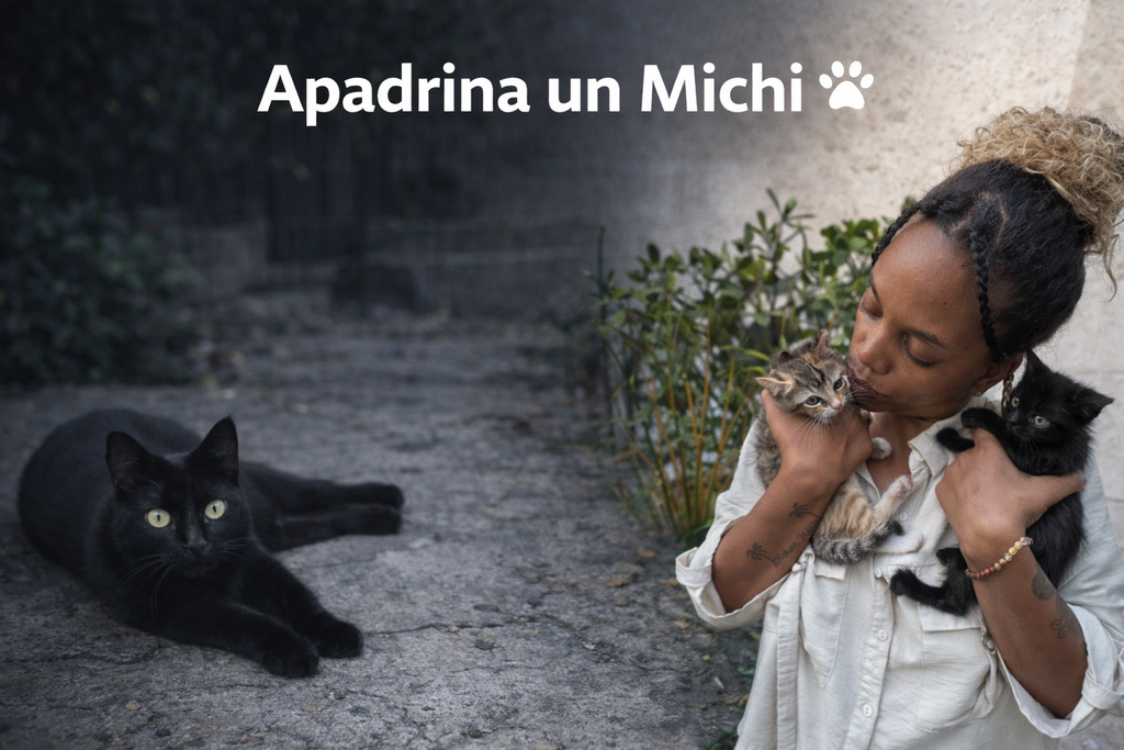 Ayuda a un michi real desde $5 al mes 🐾