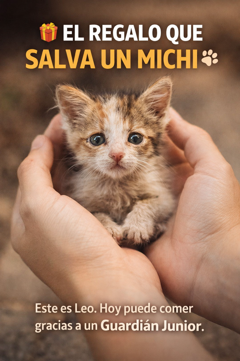 Guardianes de los Michis 🐾 – Programa Junior